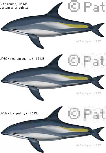 Illustration: Comparison of GIF and JPEG compression