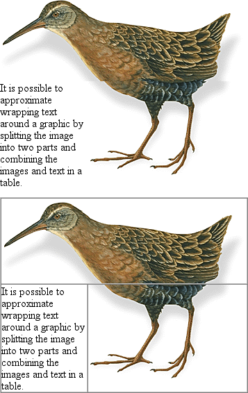 Illustration: Mortised image using tables