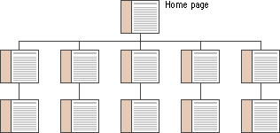 Diagram: Hierarchical organizational structure