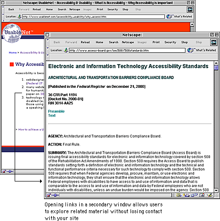 Screen shot: UsableNet page in main window and Summary of Section 508 Standards page in second window