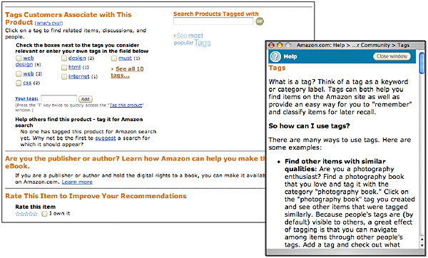 A complex form from the Amazon site, with a pop-up window offering explanations of the features on the main page.
