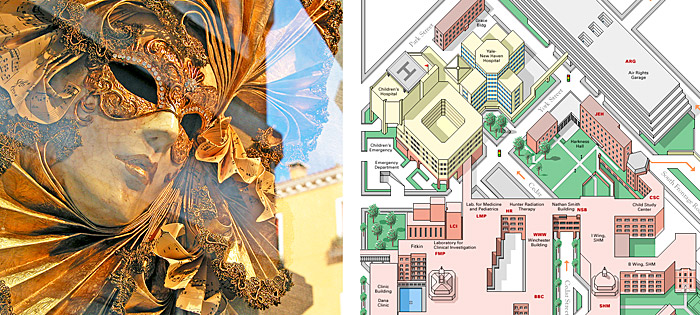 A two-part illustration showing a diagrammatic image suitable for GIF graphics on the right, and a photographic image on the left that is better served by the JPEG graphic file format.