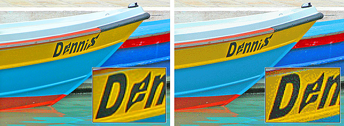 A two-part comparision of the same photographic image in full color on the left, and at right the image reduced to 256 colors with heavy color dithering.