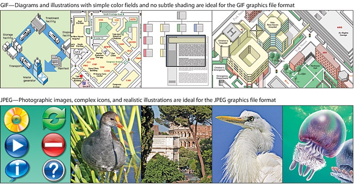 A two-part diagram of multiple diagrammatic images suitable for GIF graphics arrayed at the top, and more photographic images suitable for JPEG images arrayed across the bottom.